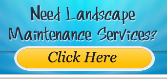 Click here for landscape maintenance