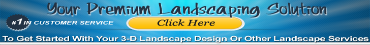 las vegas landscaping solution