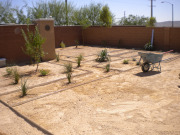 dscn0341