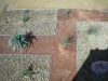 dscn0379