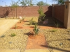 dscn0412