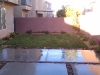 imag2354