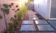 IMAG2341