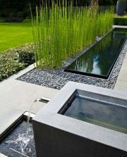 horsetail