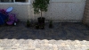 pavestone pavers plaza stone sierra blend