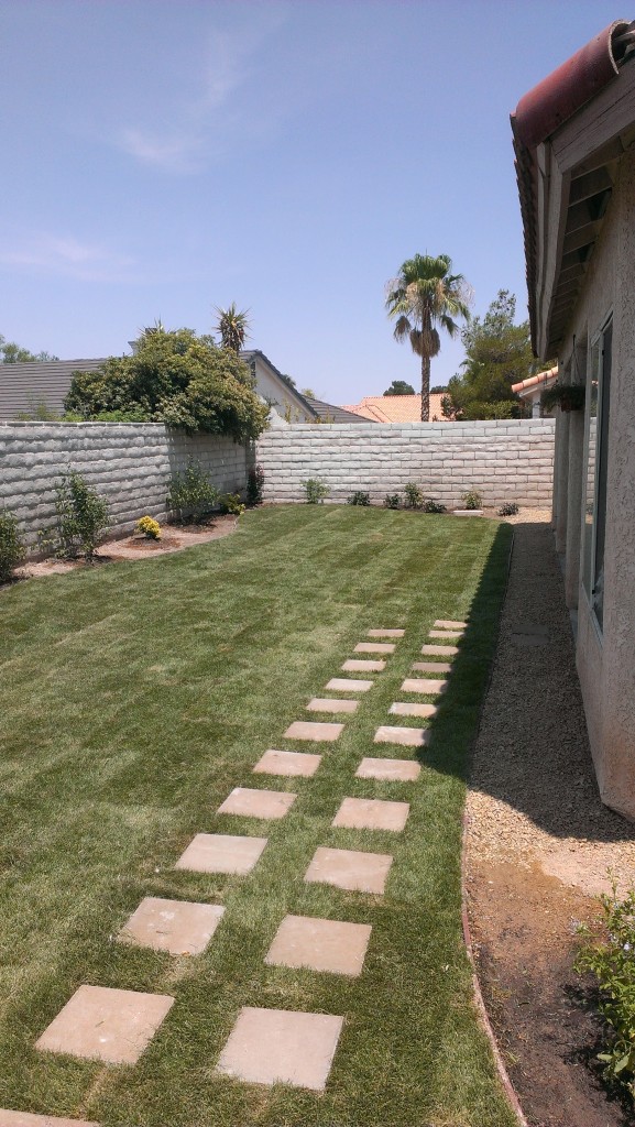 The CORRECT Watering Schedule For New Sod/Las Vegas Sod Burning Myth De