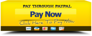 pay_through_paypal copy